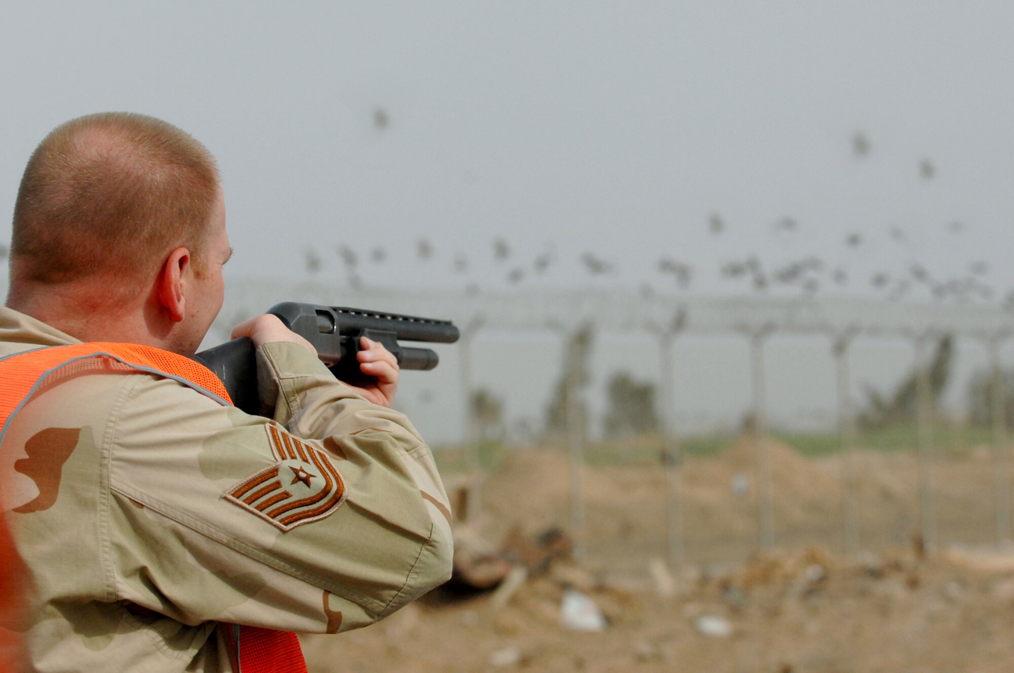 BALAD AIR BASE, Iraq -- Tech. Sgt. David Young, 332nd Air Expeditionary Wing noncommissioned officer in charge of flight safety, takes aim at a group of gulls to reduce the number of birds at Balad AB, where aircraft take off and land 24/7. Collisions between flying birds and aircraft can severely damage aircraft and endanger the lives of pilots. To reduce the number of collisions, the 332nd Air Expeditionary Wing Safety Office personnel depredate the birds on the base. On May 3, the remains of whole, depredated birds were shipped from the base to the Smithsonian Institution, National Museum of Natural History, Feather Identification Laboratory in Washington, D.C., to be analyzed by scientists there. This marks the first shipment of whole bird remains to be sent from Iraq to the Smithsonian. Sergeant Young is deployed from Elmendorf Air Force Base, Alaska. (U.S. Air Force photo/ Senior Airman Julianne Showalter)