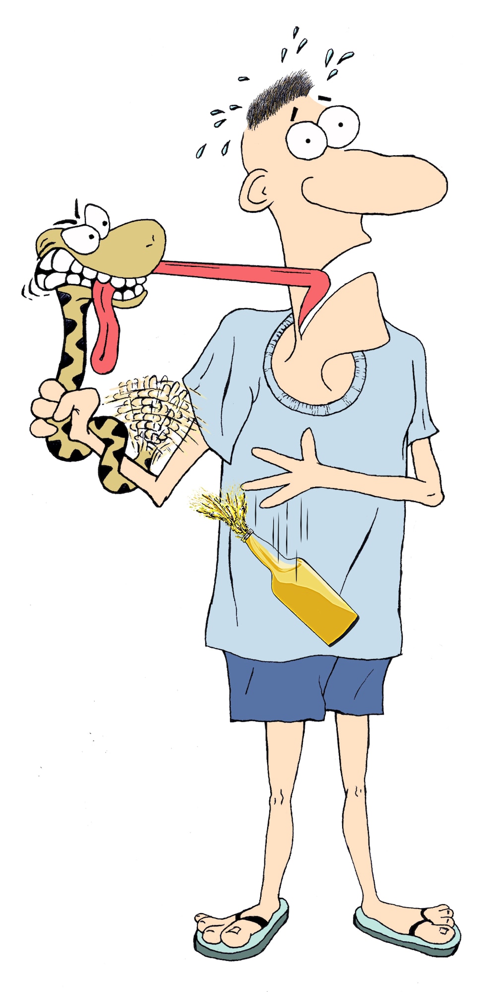A snake collector from Portland, Ore. stuffed a 20-inch eastern diamondback rattlesnake into his mouth to impress his girlfriend and barely survived the stunt. It sunk its fangs into the man’s tongue, and he was soon near death with a swollen tongue that blocked his airway. (illustration by Sammie W. King)