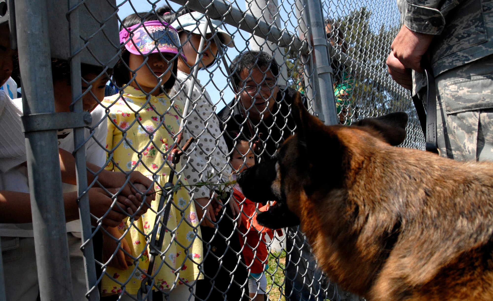 KUNSAN AIR BASE, Republic of Korea – Children of the local Retired Korean Reserve Officers’ Training Corps (ROTC) get an up close look at a K-9 from the 8th Security Forces Squadron. The base hosted a tour for ROTC members in celebration of Children's Day, a Korean holiday, allowing members and their families an opportunity see an F-16 up close, tour the fire station and K-9 Kennel.  (U.S. Air Force photo / Senior Airman Dana D. Hill)