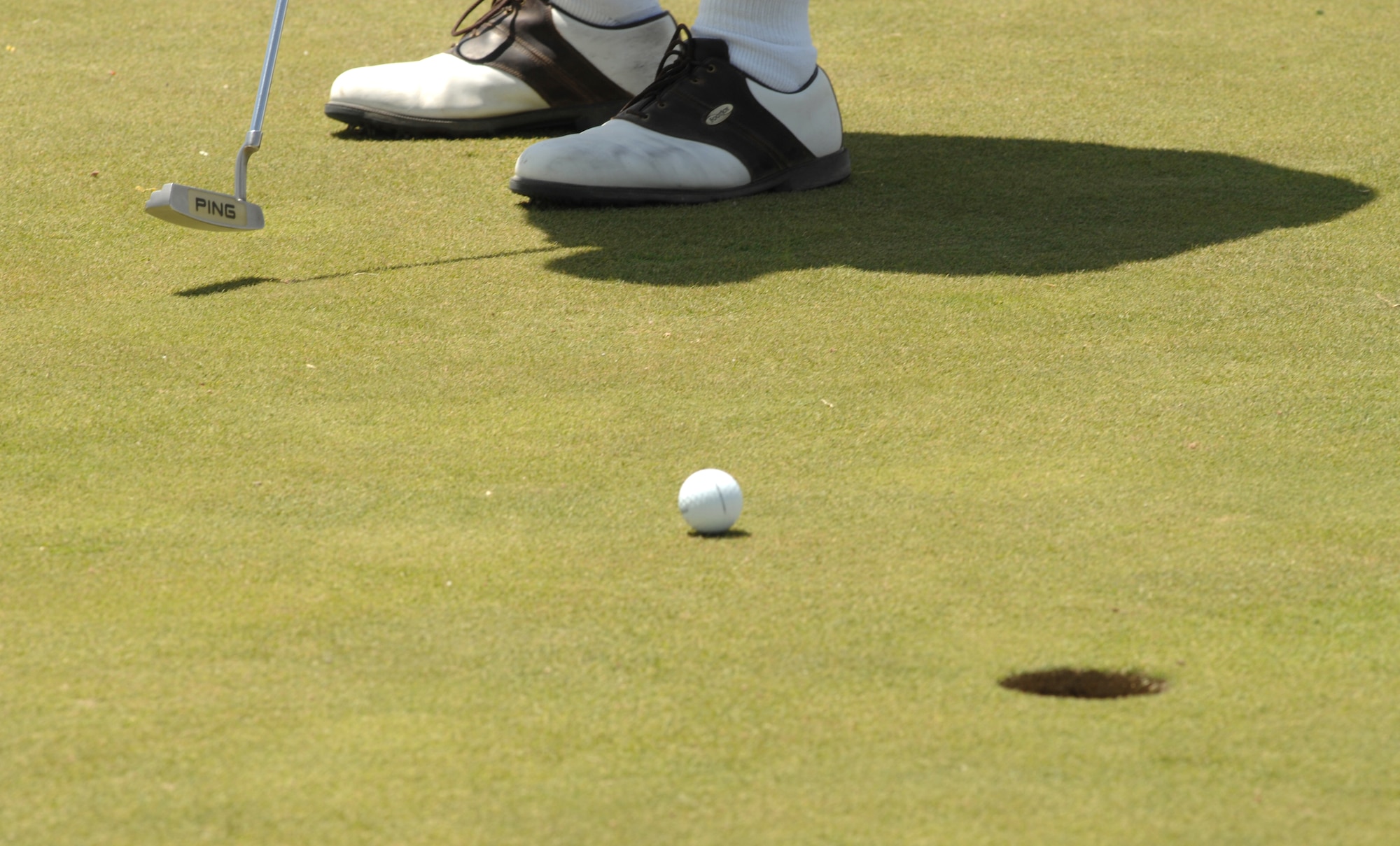 HOLLOMAN AIR FORCE BASE, N.M. -- A golfer at the Committee of 50 Golf Tournament at the Apache Mesa Golf Course here waits to see the outcome of his shot April 25. Members from the Committee of 50 and f Team Holloman competed in the tournament. (U.S. Air Force photo/Airman Sondra Wieseler)
