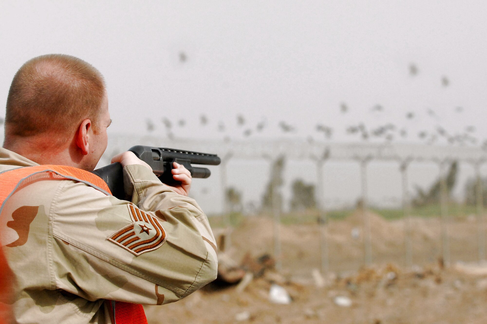 Tech. Sgt. David Young takes aim at a group of gulls to reduce the number of birds at Balad Air Base, Iraq. Collisions between flying birds and aircraft can severely damage aircraft and endanger the lives of pilots. To reduce the number of collisions, members of the 332nd Air Expeditionary Wing Safety Office depredate the birds on the base. On May 3, the remains of whole, depredated birds were shipped from the base to the Smithsonian Institution, National Museum of Natural History, Feather Identification Laboratory in Washington, D.C., to be analyzed by scientists there. This marks the first shipment of whole bird remains to be sent from Iraq to the Smithsonian. Sergeant Young is the 332nd Air Expeditionary Wing noncommissioned officer in charge of flight safety deployed from Elmendorf Air Force Base, Alaska. (U.S. Air Force photo/Senior Airman Julianne Showalter)