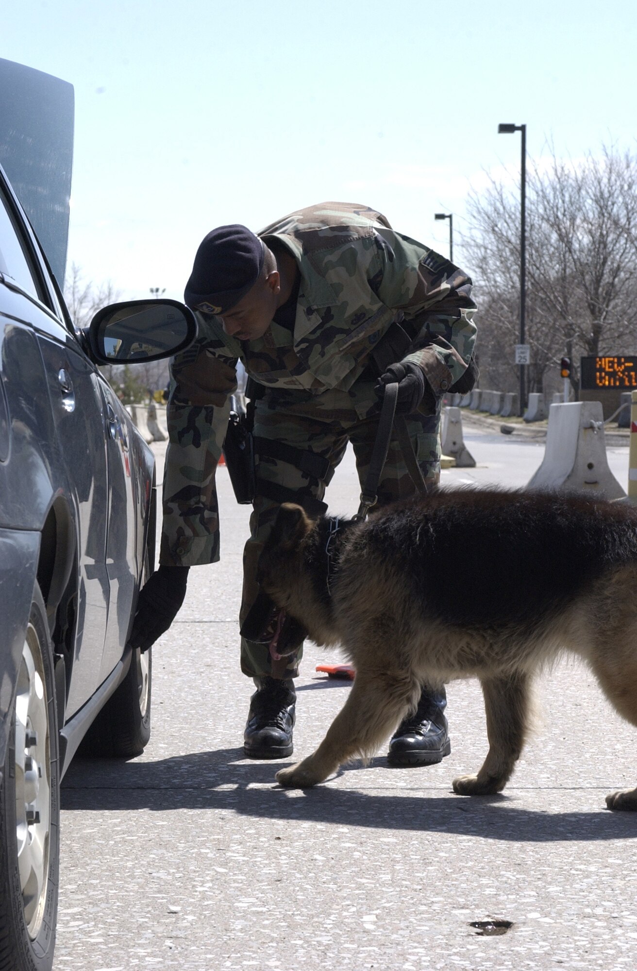 55th Security Forces Squadron Military Working Dog handler Staff Sgt. William Thomas III directs "Joker" to inspect the rear truck of a vehicle during a random installation vehicle inspection. The military working dog section is another important aspect of security forces’ protection of people and resources here. (U.S. Air Force Photo By/Tech. Sgt. A.J. Bosker)
