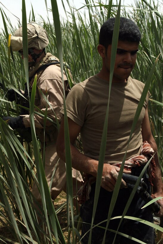 RAMADI, Iraq - An Iraqi policeman walks through a field of tall grass with a Marine from 1st Battalion, 9th Marine Regiment, Regimental Combat Team 1, in search of a possible weapons cache in the Faraj neighborhood of Ramadi May 8. (Official U.S. Marine Corps photo by Lance Cpl. Casey Jones) (RELEASED)