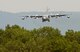 The end of an era is marked as this EC-130 E Commando Solo makes its final approach to mark its final landing at Fort Indiantown Gap, Annville, Pennsylvania home of the Pa National Guard Headquarters March 8, 2006.  This specially modified aircraft formally stationed with the 193rd Special Operations Wing at the Harrisburg International Airport Middletown, Pa. with the tail number 63-7773 affectionately known as 