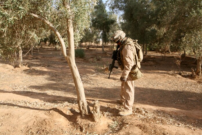 Inspecting a water trench on May 8, Cpl. Jerel D. Thompson, 22, a scout from Tallahassee, Fla., with Team Mustang, 2nd Light Armored Reconnaissance Battalion, Regimental Combat Team 5, ensures the residents along Route Mobile in western Al Anbar Province, Iraq, are safe from any threat of the enemy. Team Mustang foot-patrolled through a large oasis along the highway, an area the company calls 'the woods,' to ensure the citizens were safe from threats.