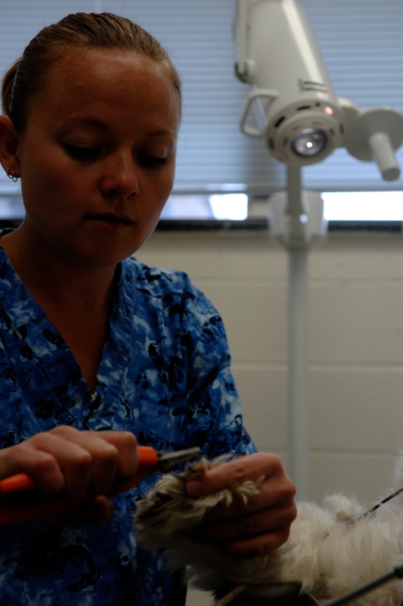 Kerry Gines, Ellsworth Veterinary Clinic veterinarian technician assistant, clips "Cooper's" nails while he is anesthetized at the Veterinarian Clinic here, May 8. The clinic is open for appointments Monday to Wednesday 9 a.m. to 4 p.m., Thursday 1 p.m. to 4 p.m. and Friday 9 a.m to 12 p.m. To make an appointment call 385-1589.(U.S. Air Force photo/Airman Matthew Flynn)