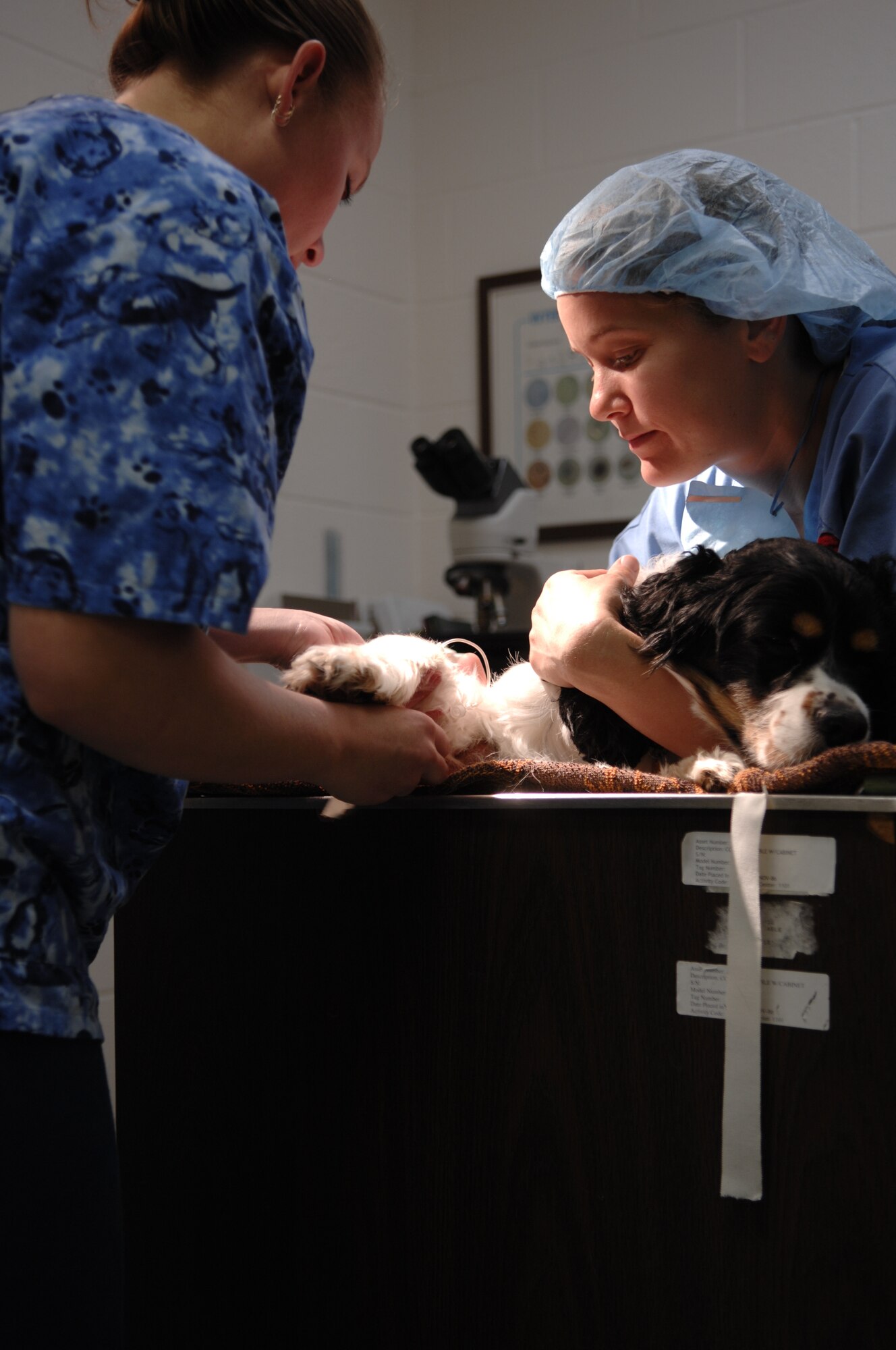 Kerry Gines, Ellsworth Veterinary Clinic veterinarian technician assistant, injects "Cooper" with pre-anesthetic drugs while Army Capt. Erin Brown, Ellsworth Veterinary clinic veterinarian, restrains him here, May 8.  The drugs are given to prepare "Cooper" to be neutered. The clinic performs animal surgeries on Tuesdays 9 a.m. to 4 p.m. To make an appointment call 385-1589 (U.S. Air Force photo/Airman Matthew Flynn)