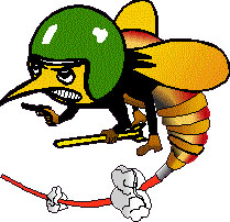 Stinger Bee