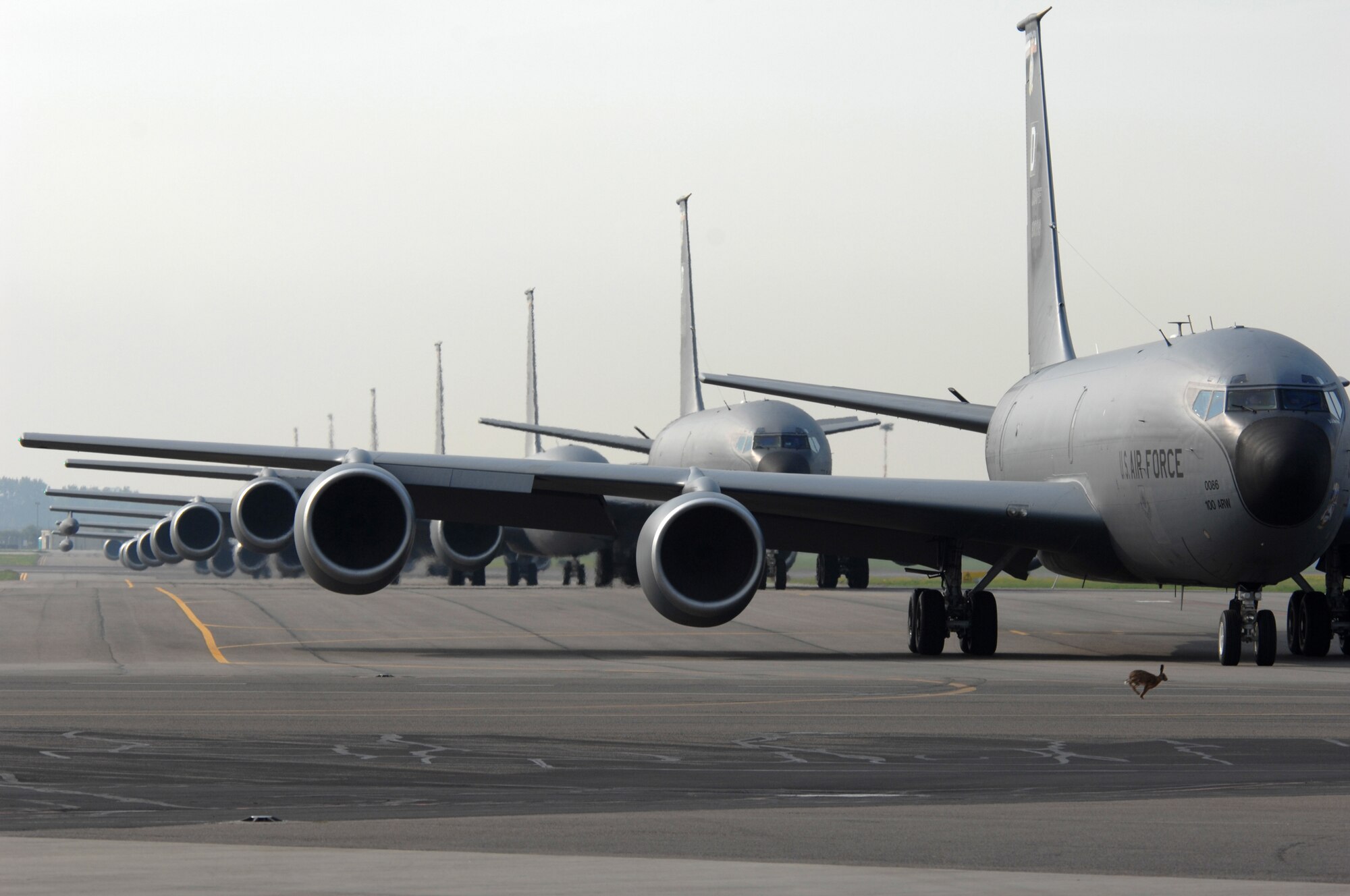 A field rabbit tempts fate by running across the taxiway directly in front of eight KC-135R Stratotanker aircraft waiting for clearance from the tower to takeoff at RAF Mildenhall, England, May 9, 2008.  More than half the fleet of KC-135R Stratotankers assigned to the base performed a massive-rapid response exercise. The event benefitted two parts of the installation’s flying community. Airmen assigned to the maintenance squadrons were able to test their abilities to launch several aircraft simultaneously while the refueling squadrons took advantage of the large number of aircraft in the air by performing formation flights. The last time a large-scale take-off of this kind took place was on March 13, 2006, when seven KC-135R aircraft crews participated.(U. S. Air Force photo by Master Sgt. Tracy L. DeMarco)
