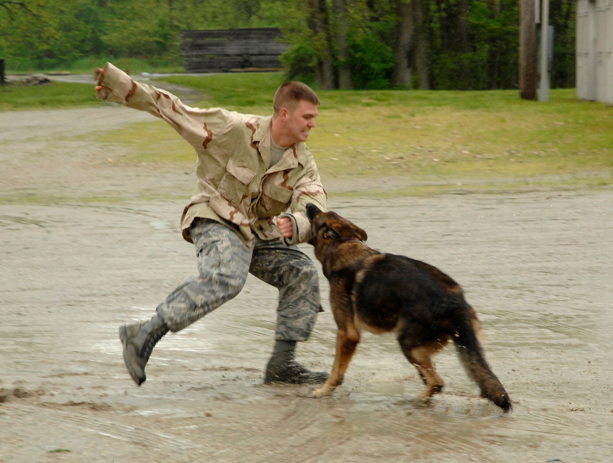Staff Sgt. Adam Barraclough, a 66th Security Forces Squadron dog handler deployed to Wright-Patterson Air Force Base, Ohio from Hanscom AFB, Mass., is "attacked" while trying to run away from Nisan, a narcotics detection military working dog, during a demonstration for Gen Bruce Carlson, Air Force Materiel Command commander on May 8. Gen. Carlson observed 88th Air Base Wing missions and met Airmen and civilian employees across the installation May 8. (U.S. Air Force photo/Al Bright) 