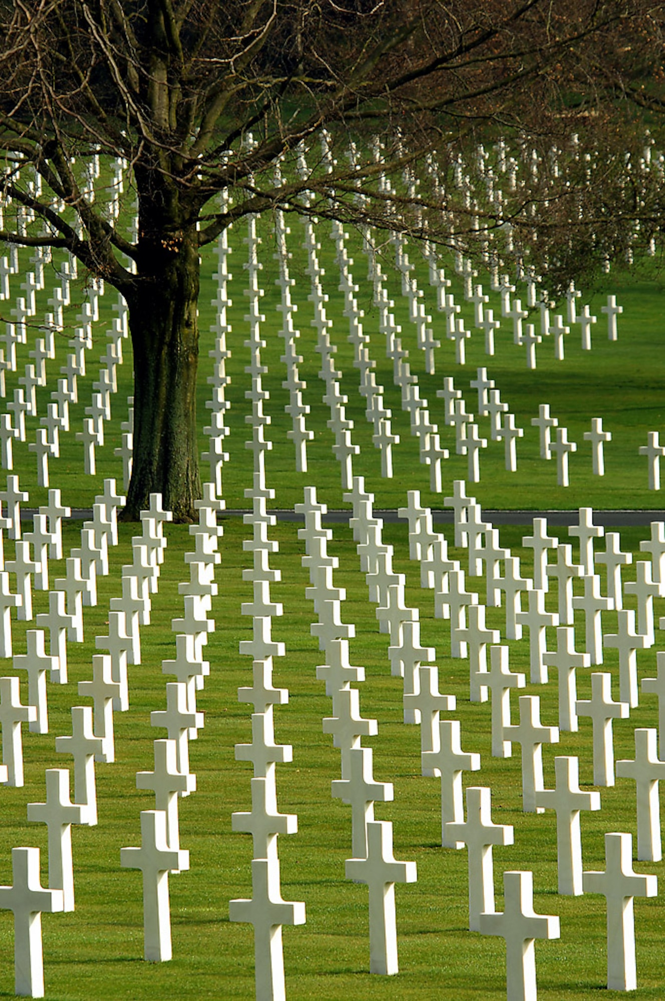 More than 10,000 Americans are buried at the Lorraine American Cemetery in St. Avold, France, where a memorial service takes place at 11 a.m. May 25. (U.S. Air Force photo/Airman 1st Class Kenny Holston) 
