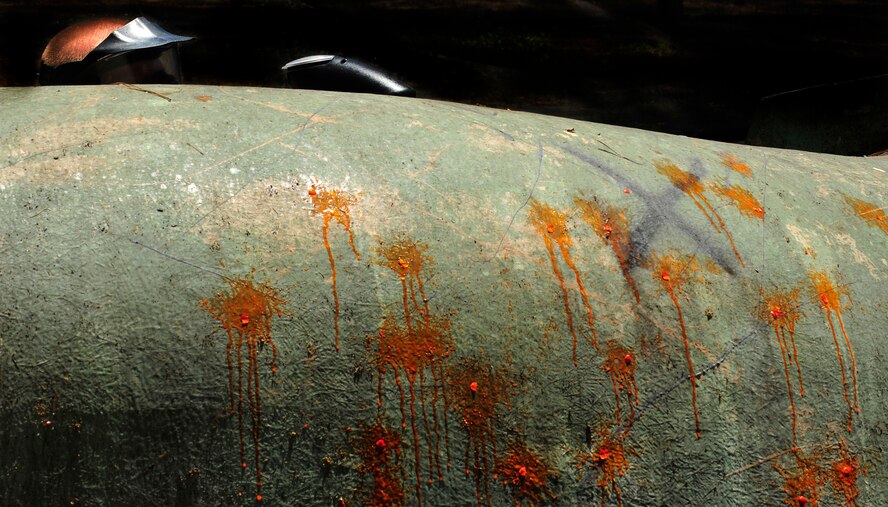 MOODY AIR FORCE  BASE, Ga. -- Airman 1st Class Andrew Stout, 23rd Security Forces Squadron member, uses a bunker for protection during a paintball game here May 14. The 23rd SFS held a paintball tournament at Splatter Swamp paintball range during Police Week. (U.S. Air Force photo by Airman 1st Class Brittany Barker)