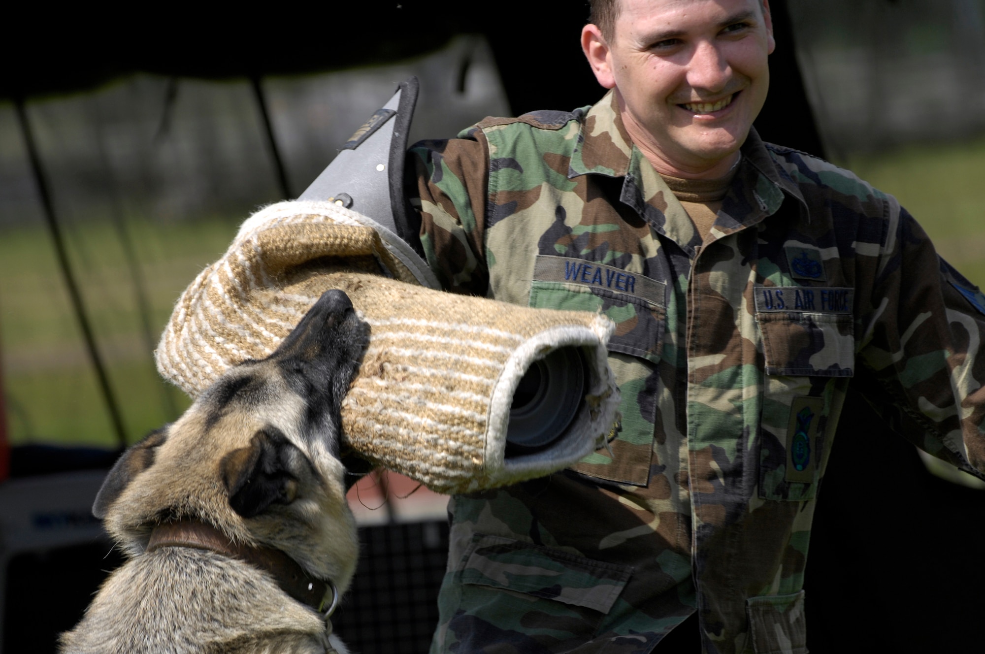 Nika, Explosive Detector and patrol dog pulls Staff Sergeant Randal Weaver, 48th Security Forces Squadron down to the ground during a police dog demonstration at the police week booth May 12 at RAF Lakenheath. The booth was set up to raise community awareness. (U.S. Air Force photo by Airman Perry Aston)