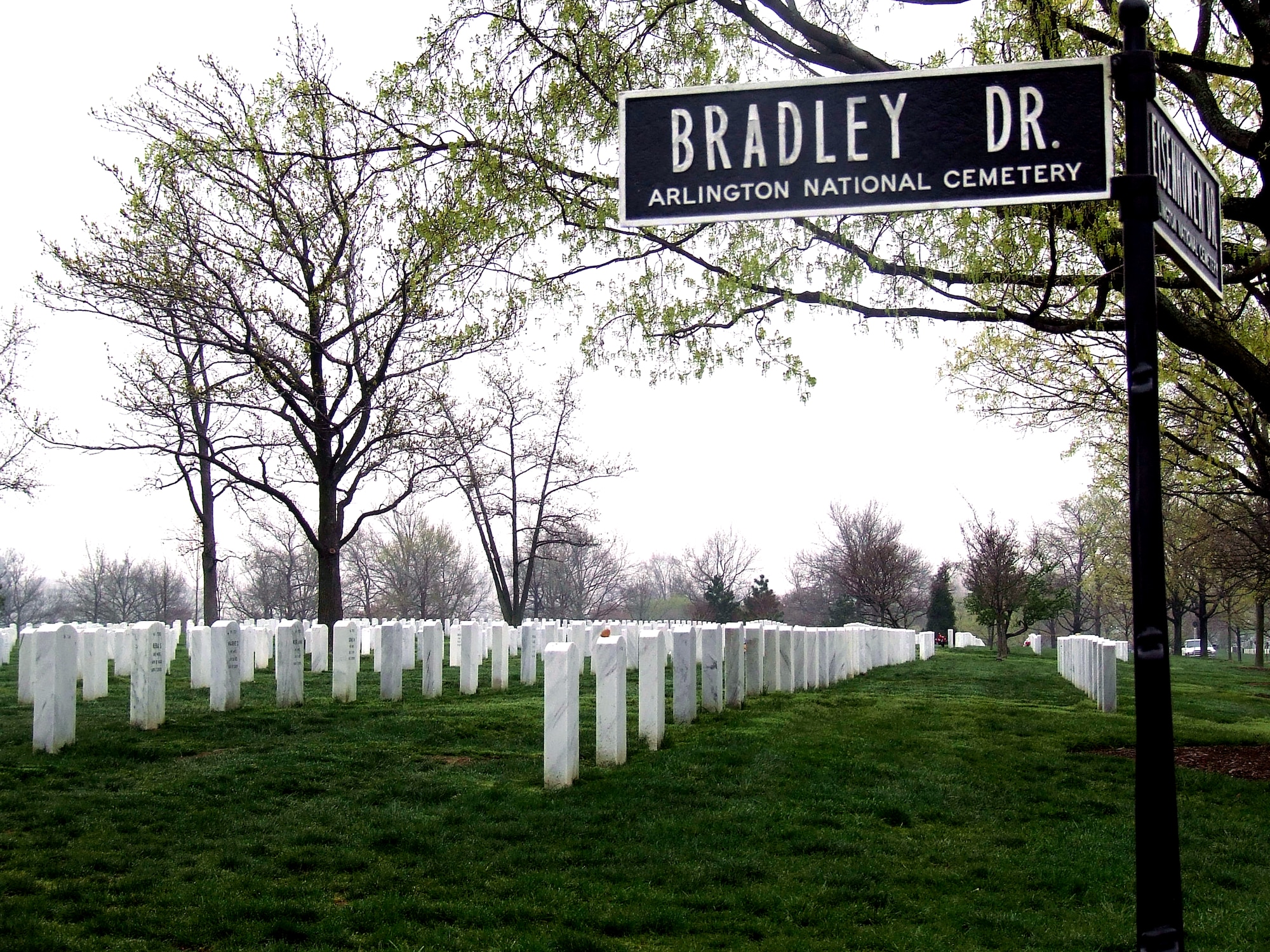 This is a view of Arlington National Cemetery from Bradley Drive inside the cemetery in Arlington, Va., April 9, 2008.  The drive is named after former Army five-star Gen. Omar Bradley.  (U.S. Air Force Photo/Tech. Sgt. Scott T. Sturkol)