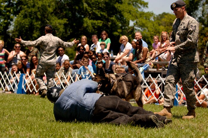 Staff Sgt. Keith Lippy instructs Sigan to attack the "aggressor," Staff Sgt. Ryan Stocklin, during a K-9 demonstration in front of an audience outside the Base Exchange May 17. National Police Week was founded to pay tribute to the law enforcement officers who have made the ultimate sacrifice for our country and to voice our appreciation for all those who currently serve on the front lines of the battle against crime. Sergeants Lippy and Stocklin are K-9 handlers in the 437 SFS. (U.S. Air Force photo/Senior Airman Nicholas Pilch)