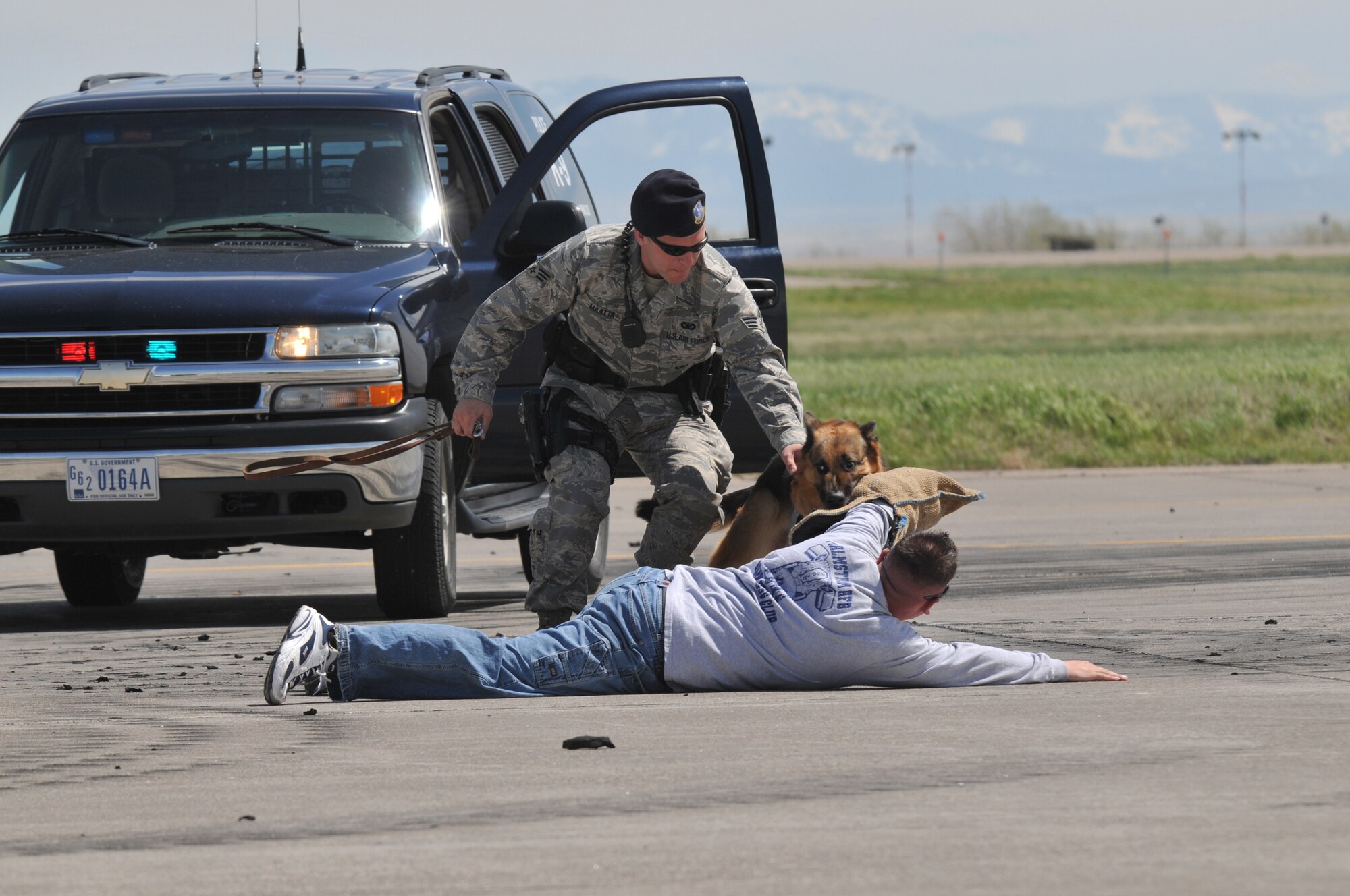 A member of Malmstrom's military working dog unit and his K-9 partner subdue a criminal during a demonstration at the 2008 Malmstrom Air Show and Open House May 18. (U.S. Air Force photo/John Turner)