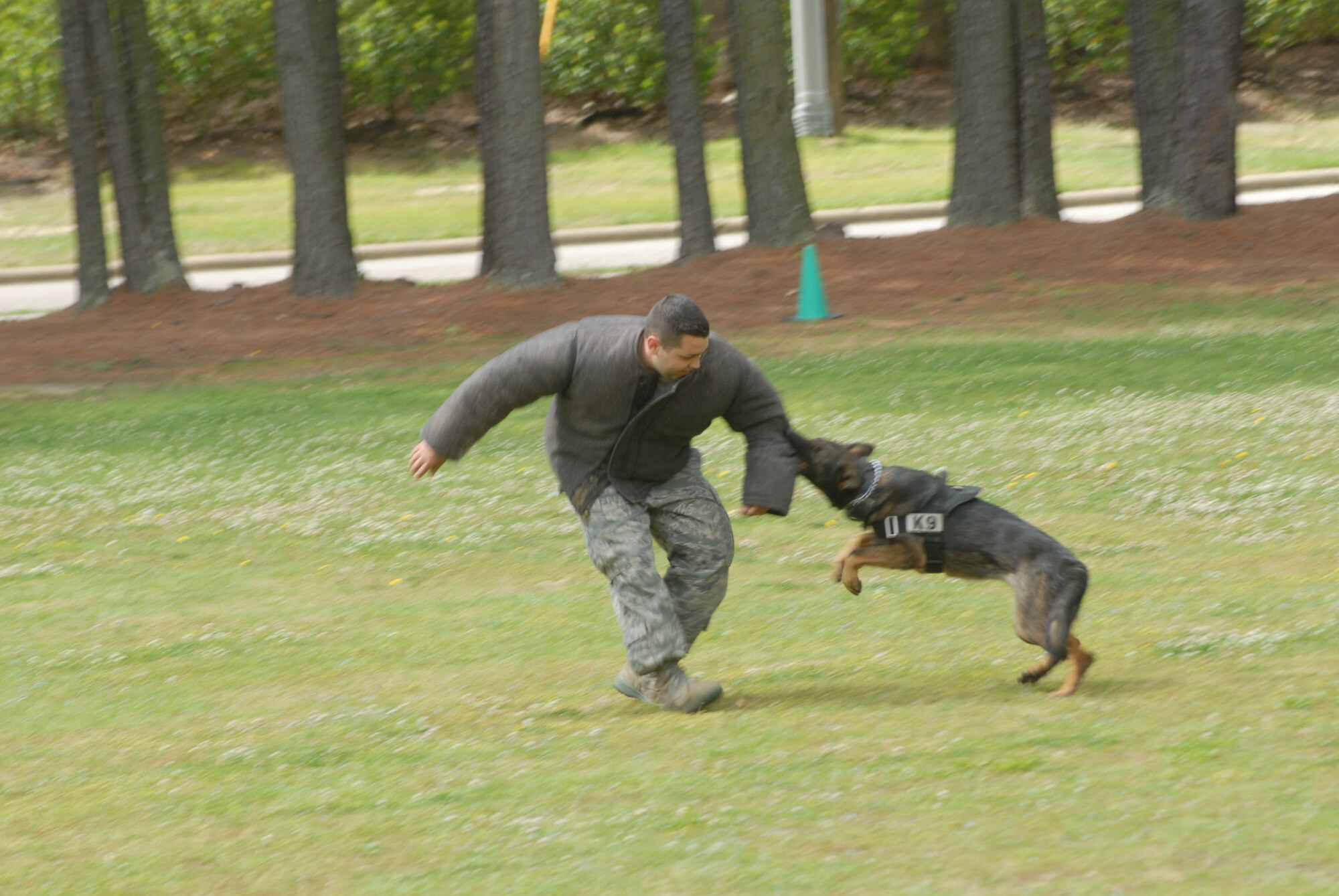 Staff Sgt. Eric Barrios, 43rd Security Forces Squadron, plays the bad guy as police dog, Jesa, attacks him during a demonstration for a kindergarten class at the Pope elementary May 12 during Law Enforcement week. (U.S. Air Force Photo by Airman 1st Class Mindy Bloem)