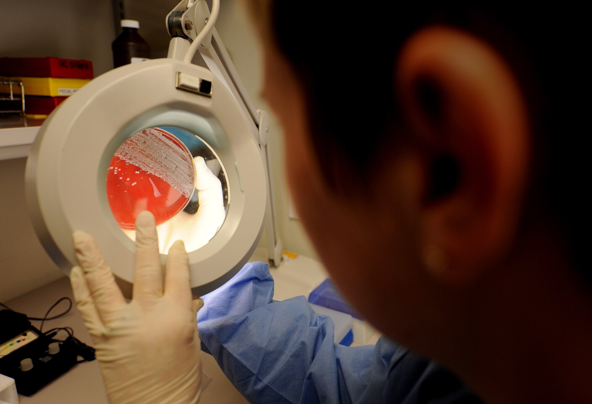 MOODY AIR FORCE BASE, Ga. -- Staff Sgt. Patricia Hill, 23rd Medical Group lab technician, checks a throat culture for strep at the laboratory here May 29. Strep throat is an infection caused by group A streptococcus bacteria, and is very common among kids and teens. (U.S. Air Force photo by Senior Airman Gina Chiaverotti)
