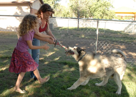 Heather Frazer and her daughter, Alex, play tug of war with their dog, Chewy, in the shade. Shade helps animals keep their body temperature down during hot weather.(U.S. Air Force photo/Senior Airman Tiffany Trojca)
