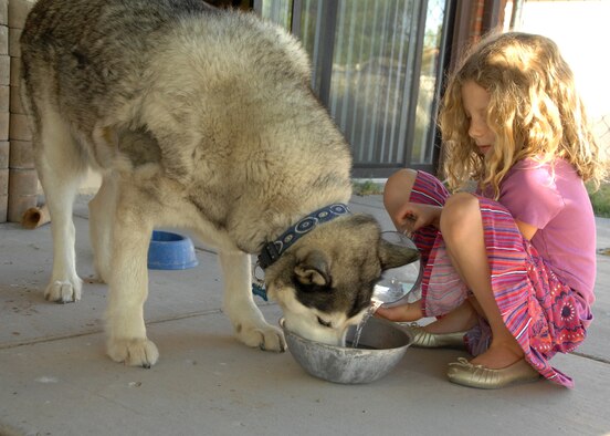 Alex Frazer pours clean water for her dog, Chewy. During the summer months it is extremely important to provide plenty of fresh water to pets while outdoors.(U.S. Air Force photo/Senior Airman Tiffany Trojca)