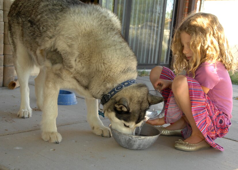 Alex Frazer pours clean water for her dog, Chewy. During the summer months it is extremely important to provide plenty of fresh water to pets while outdoors.(U.S. Air Force photo/Senior Airman Tiffany Trojca)
