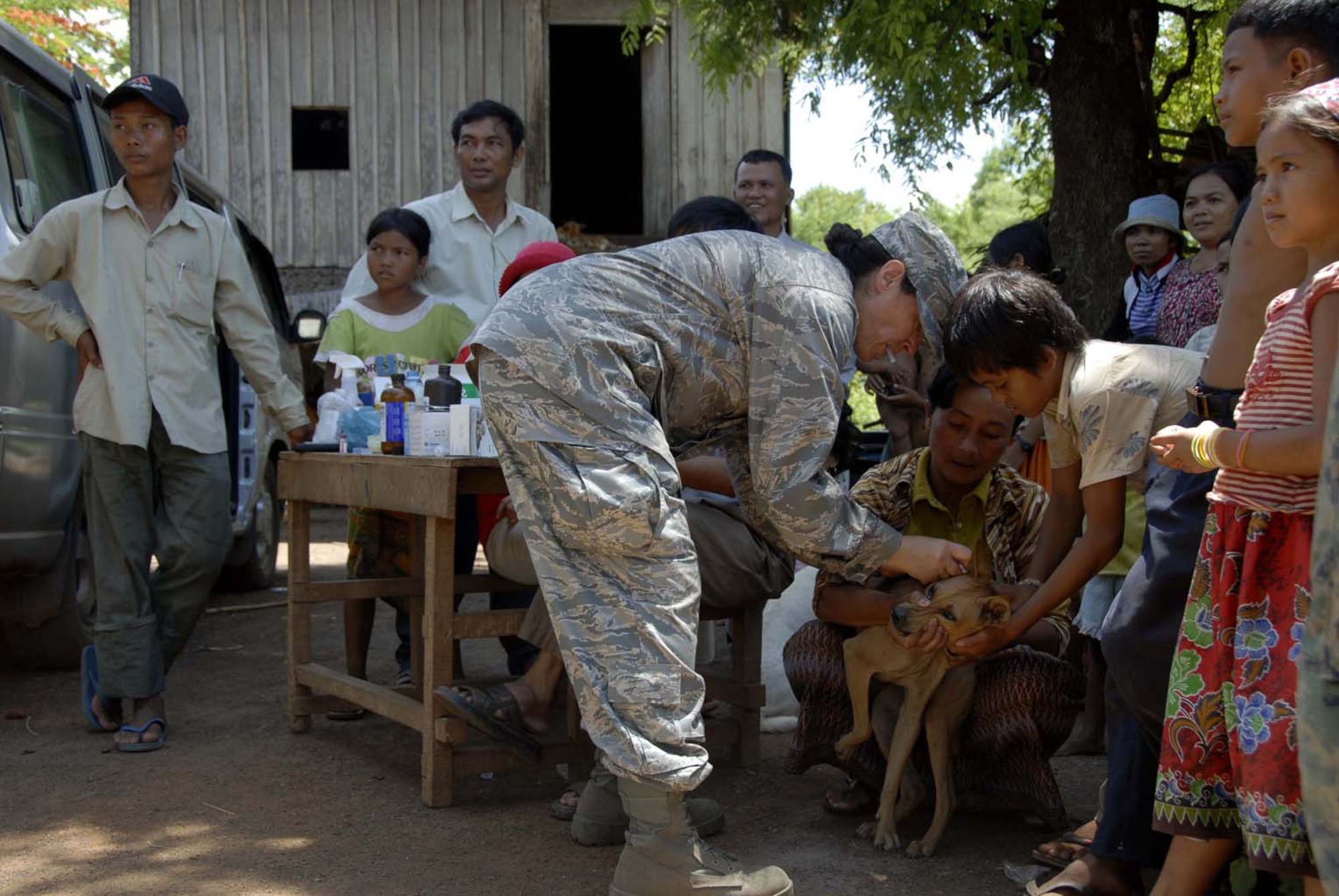 KAMPONG CHAM PROVINCE, Cambodia – Lieutenant Colonel Mary Brown a Public Health Veterinarian and Individual Mobilization Augmentee assigned to U.S. Northern command, inoculates a dog of local breed for rabies. A team of three U.S. total force Veterinarians travel to a new location in the province each day of Operation ‘Pacific Angel 01-08’, a joint/combined 13th Air Force-led humanitarian assistance operation May 25 - 29. (U.S. Air Force photo/Tech. Sgt. Tom Czerwinski)