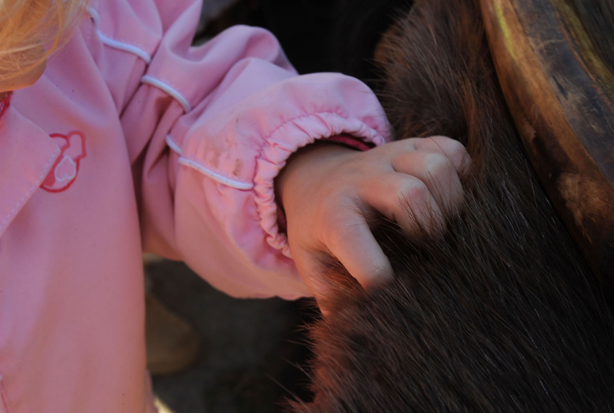 LANGLEY AIR FORCE BASE, Va.-- A girl runs her fingers through a beaver pelt at the Child Development Center here Oct. 31. The pelt was part of a traveling display of furs, fossils, bones and stones from the Virginia Living Museum. (U.S. Air Force photo/Airman Rebecca Montez)