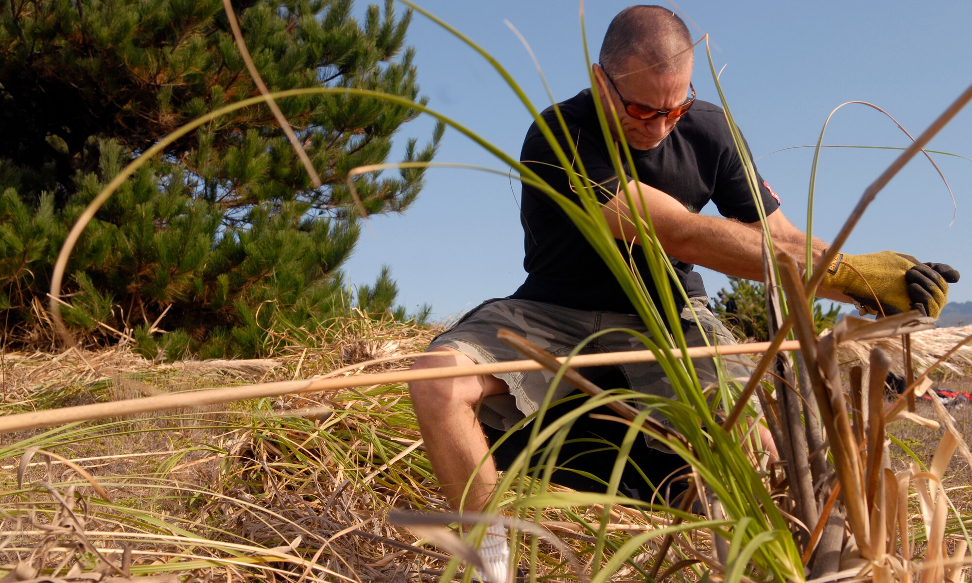 PILLAR POINT, Calif.-- A Volunteer works to remove invasive vegetaion at Vandenberg's most northern site on Oct. 28. The project was headed by the 30th Civil Engineering Squadron to help maintain the environment. (Air Force photo / Senior Airman Christopher Hubenthal)