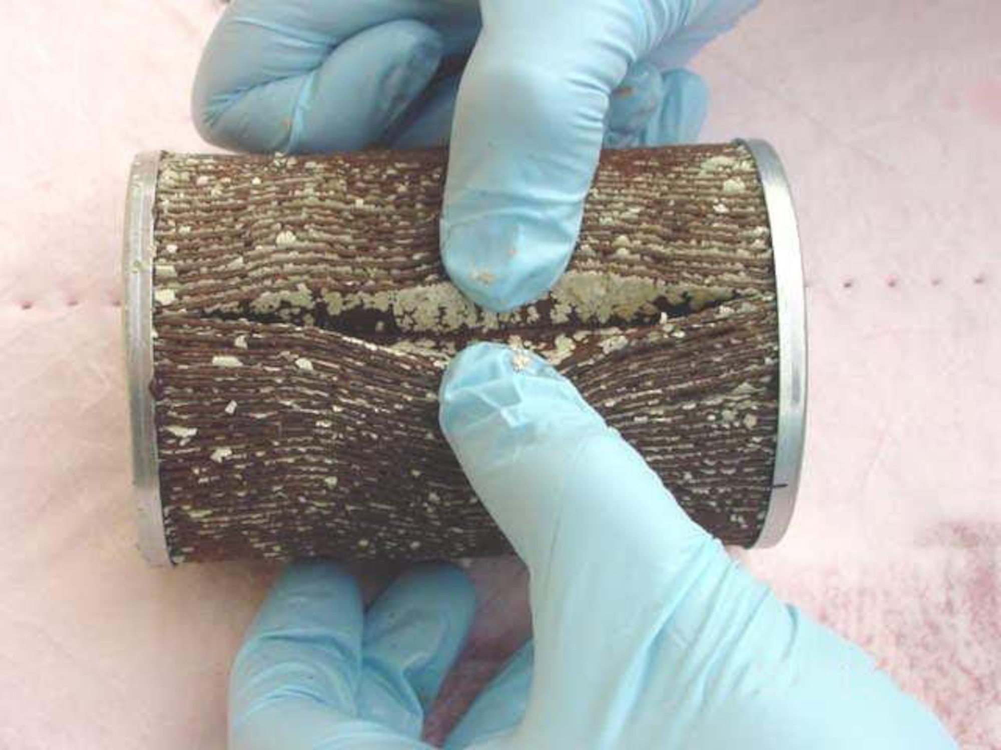 Air Force Research Laboratory materials researchers are evaluating coatings to lower costly fuel tank repairs in military aircraft.  Here a B-52 fuel strainer is pictured clogged with debris from the fuel tank coating. The strainer is part of the bomber's filter system that is affected by the cracking and peeling of the protective coating inside the fuel tank.   (U.S. Air Force photo/Mike Spicer) 