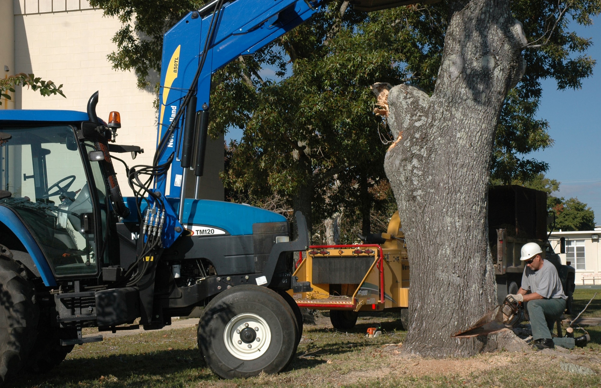 EGLIN AIR FORCE BASE, Fla. -- A member from the 96th Civil Engineer Squadron Ground Section tree crew, carefully disects a dead tree outside dorms on Eglin Parkway. The tree poses a risk to the integrity of the dorm infrastructure. (U.S. Air Force photo/Staff Sgt. Stacia Zachary)