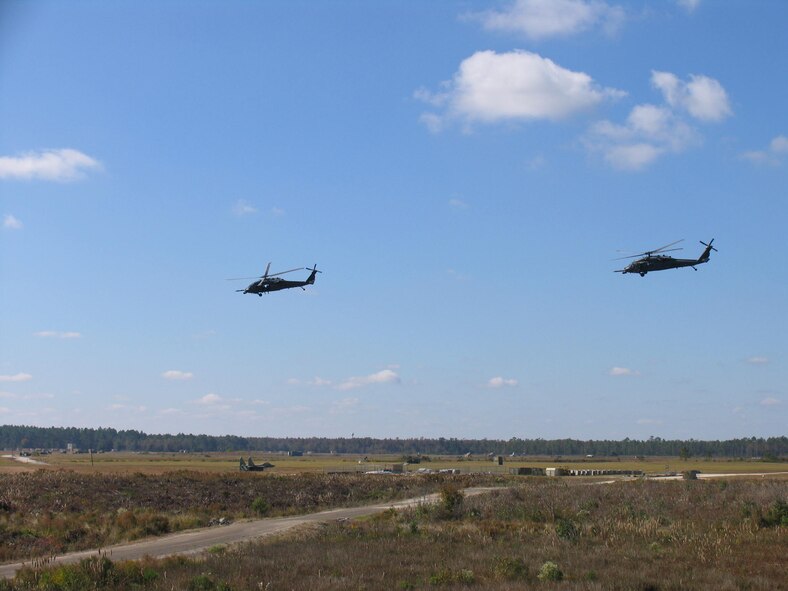 MOODY AIR FORCE BASE, Ga.—Two HH-60G Pave Hawk helicopters from the 41st Rescue Squadron fly over Grand Bay Range during a combat search and rescue demonstration here Nov. 7.  The exercise demonstrated the capabilities of the current Flying Tigers. (U.S. Air Force photo by Staff Sgt. Robin Stanchak)