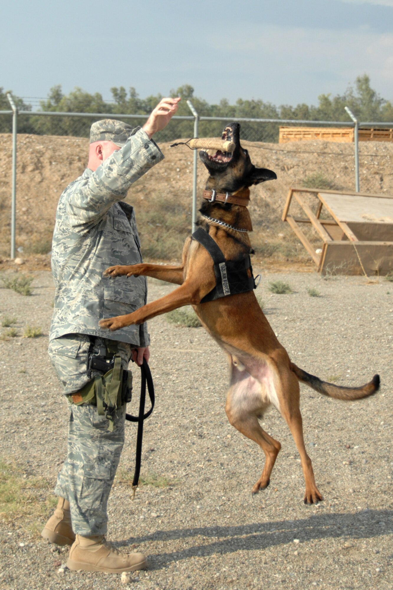 Staff Sgt. Robert Starkweather makes some playtime for his partner Diego Nov. 1 at Kirkuk Regional Air Base, Iraq. Diego, a 6-year-old Belgium Malinois is a military working dog. Sergeant Starkweather and Diego are assigned to the 506th Expeditionary security Forces Squadron/K-9 Unit. They are both deployed from Misawa Air Base, Japan. (U.S. Air Force photo/Tech. Sgt. Jeff Walston)