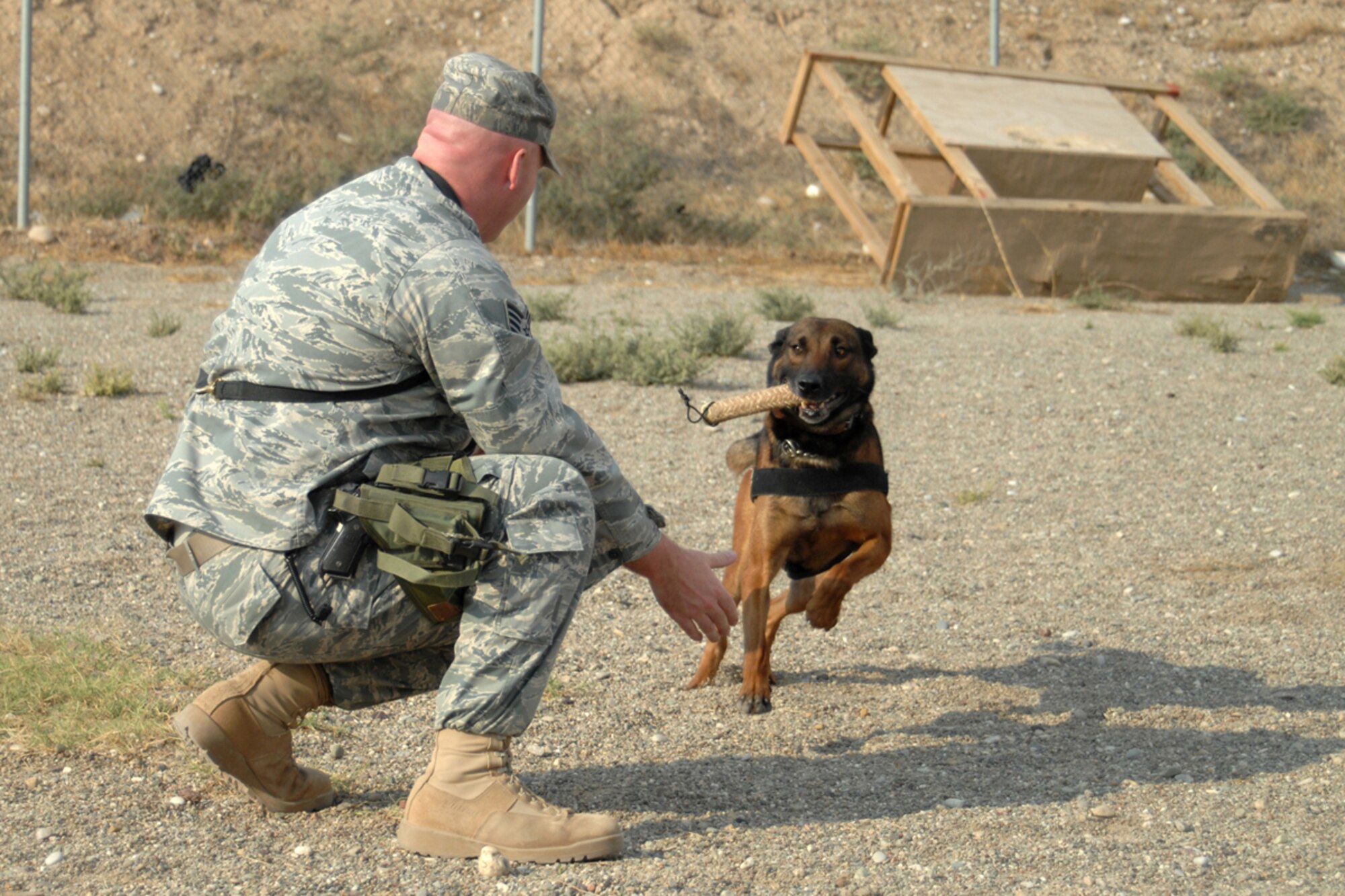 Staff Sgt. Robert Starkweather makes some playtime for his partner Diego Nov. 1 at Kirkuk Regional Air Base, Iraq. Diego, a 6-year-old Belgium Malinois is a military working dog. Sergeant Starkweather and Diego are assigned to the 506th Expeditionary security Forces Squadron/K-9 Unit. They are both deployed from Misawa Air Base, Japan. (U.S. Air Force photo/Tech. Sgt. Jeff Walston)