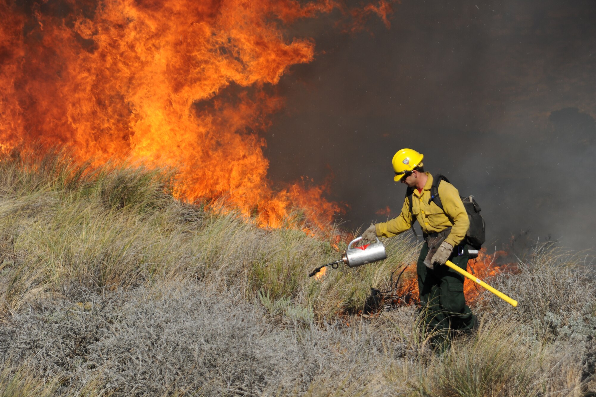 VANDENBERG AIR FORCE BASE, Calif.  -- A firefighter from the 30th Civil Engineer Squadron lights European beach grass on fire during a controlled burn to help enlarge the habitat for an endangered species of Western Snowy Plovers here Nov. 6.  (U.S. Air Force photo/Airman 1st Class Andrew Satran)
