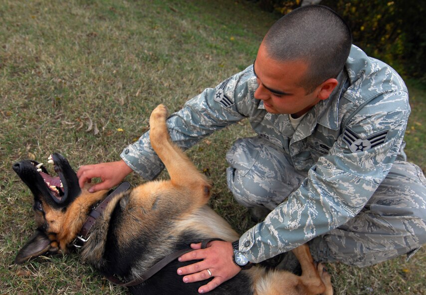 BARKSDALE AFB, LA---Senior Airman Luis Plata gives his K9 partner some affection after a long walk on Oct. 22, 2008. (USAF Photo by Staff Sgt. Trina R. Jeanjacques)