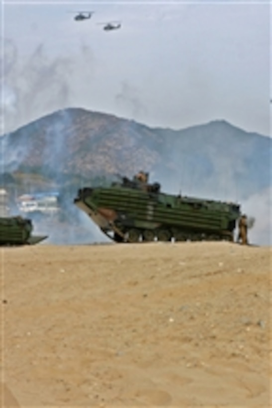 U.S. Marines with the 31st Marine Expeditionary Unit, III Marine Expeditionary Force assault Hwajinri beach with amphibious assault vehicles and helicopters in Pohang, Korea, on Nov. 6, 2008.  The exercise is part of the Korean Incremental Training Program 2009.  