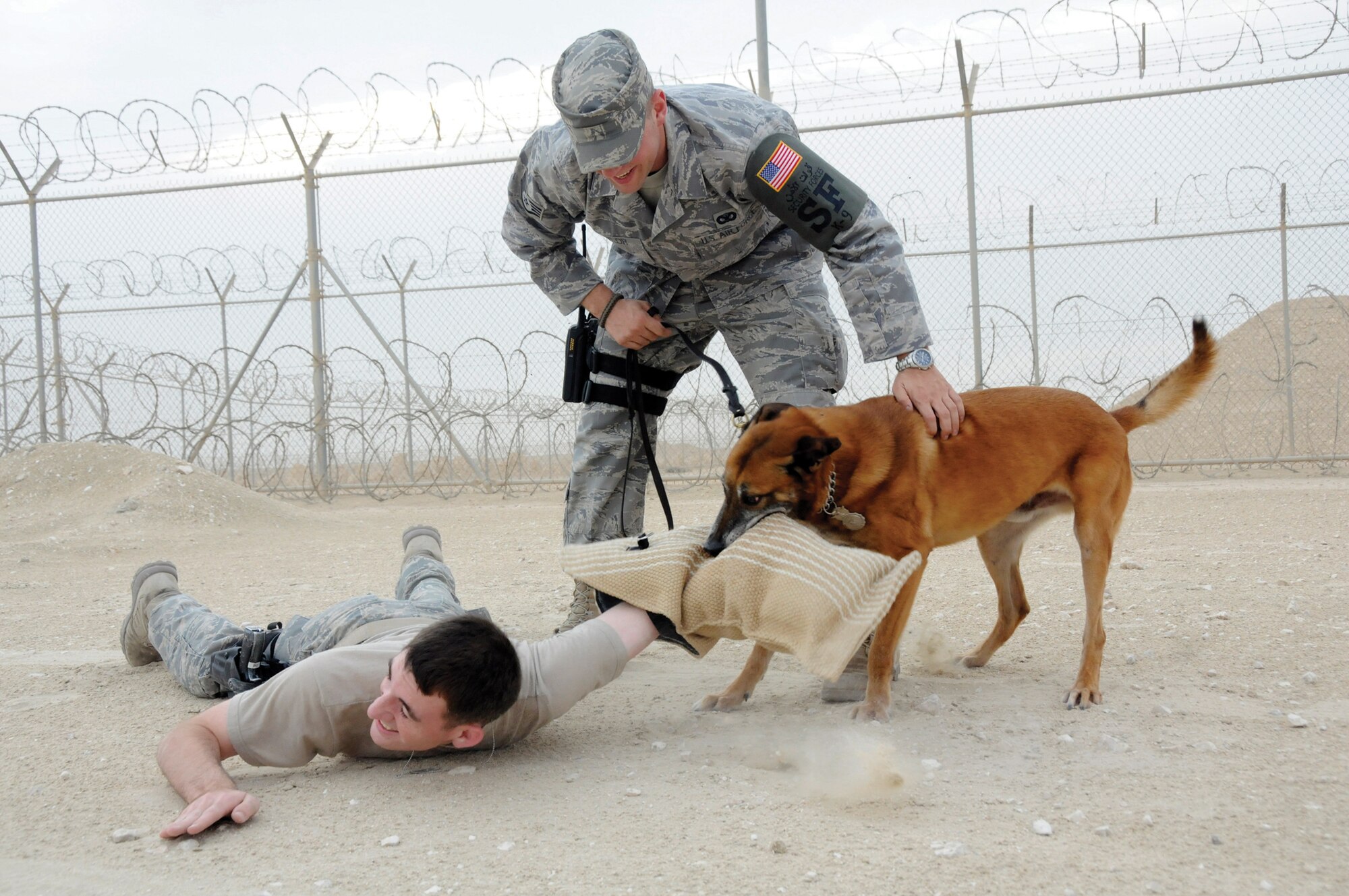 Lenox, a Belgian Malinous, brings Staff Sgt. Logan Ray, military working dog handler assigned to the 379th Expeditionary Security Forces Squadron, to the ground as his handler, Staff Sgt. Edward Lawlor, 379 ESFS military working dog handler, comes to his side to take control of the ?suspect? during training at an undisclosed location in Southwest Asia Nov. 4. These 379 ESFS dog handlers provide the first line of defense for the base by detecting explosives and weapons. Sergeant Ray, a native of Bethesda, Md., and Sergeant Lawlor, a native of Wolcott, Conn., both are deployed from Andrews Air Force Base, Md. (U.S. Air Force photo by Staff Sgt. Darnell T. Cannady)