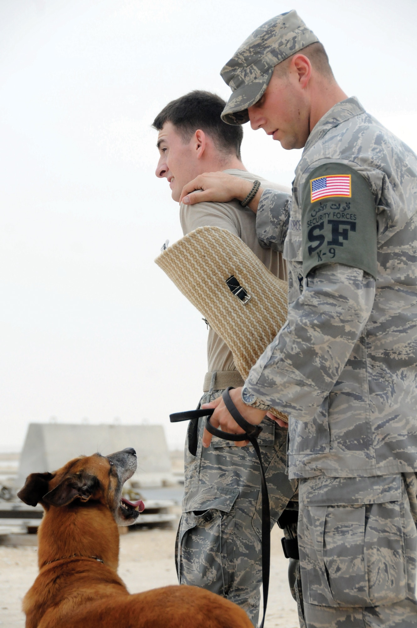 Lenox, a Belgian Malinous, listens to the stay command while Staff Sgt. Edward Lawlor, military working dog handler assigned to the 379th Expeditionary Security Forces Squadron, searches Staff Sgt. Logan Ray, 379 ESFS military working dog handler, during training here Nov. 4, 2008. These 379 ESFS dog handlers provide the first line of defense for the base by detecting explosives and weapons. Sergeant Ray, a native of Bethesda, Md., and Sergeant Lawlor, a native of Wolcott, Conn., both are deployed from Andrews Air Force Base, Md. (U.S. Air Force photo by Staff Sgt. Darnell T. Cannady)