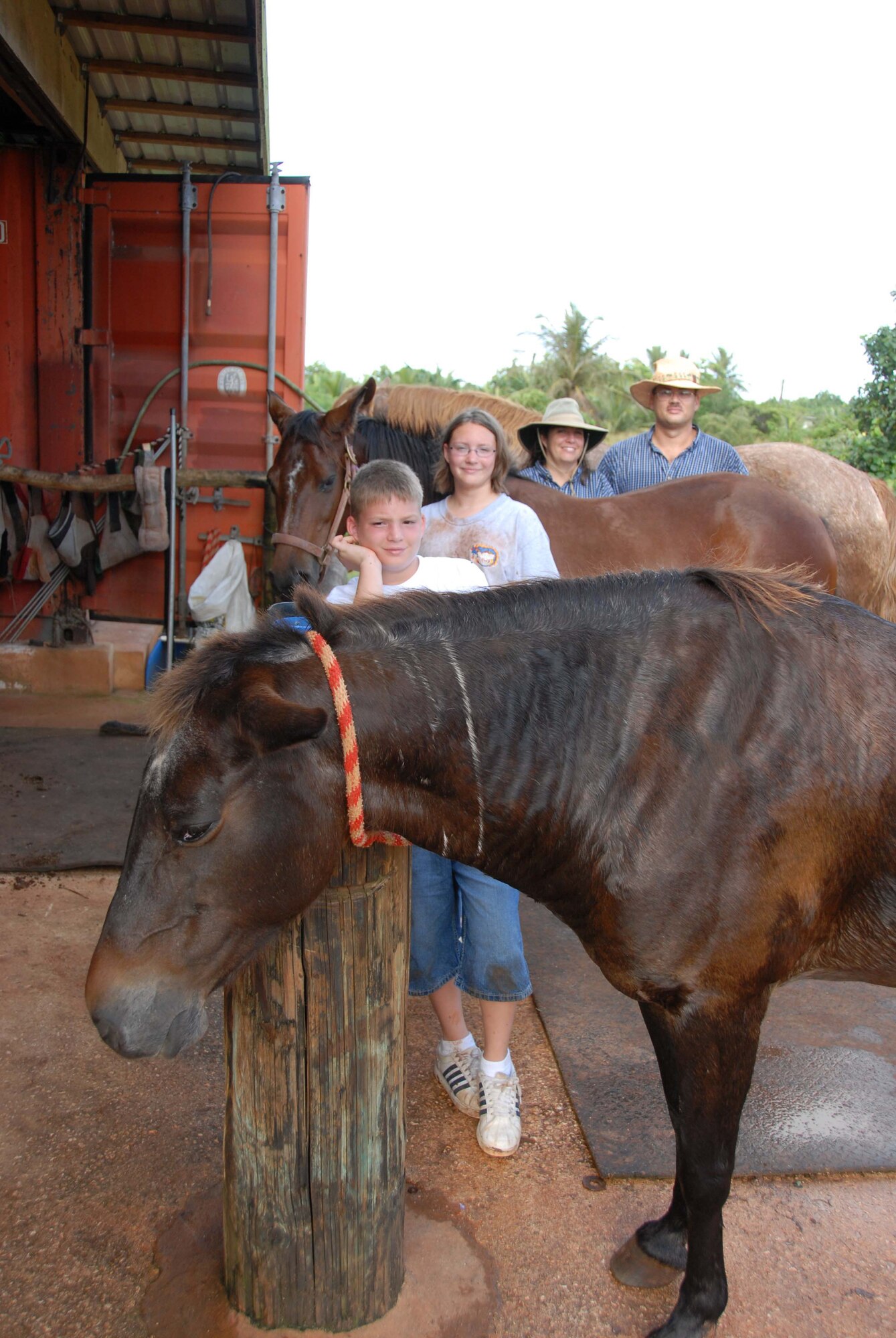 ANDERSEN AIR FORCE BASE, Guam - The Tofte family and four horses pose for a portrait at the ranch.  Master Sgt. Damon Tofte, 36th Maintenance Squadron Fabrications Flight chief, and his family have volunteered at the ranch for more than a year.  (U.S Air Force photo by Tech. Sgt. Brian Bahret)