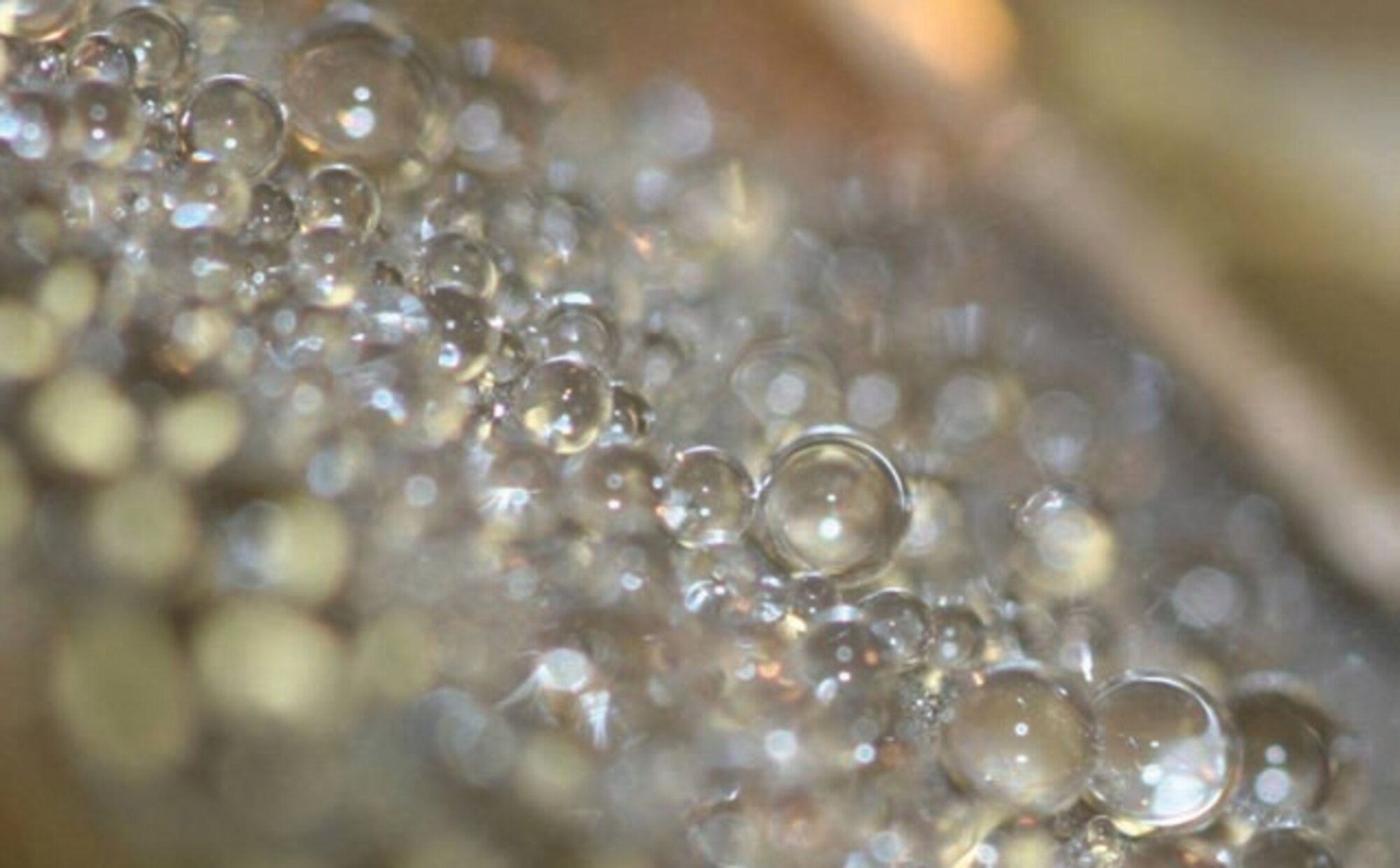 Water beads up into droplets that roll or bounce off a transparent coating. (Photo courtesy Dr. C. J. Brinker, University of New Mexico and Sandia National Laboratories)
