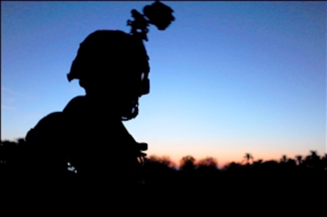 A U.S. Army soldier walks through a palm grove during an early morning cache search near the city of Tarmiyah, Iraq, Nov. 18, 2008. The soldier is assigned to the 25th Infantry Division's 1st Battalion, 14th Infantry, 2nd Stryker Brigade Combat Team.