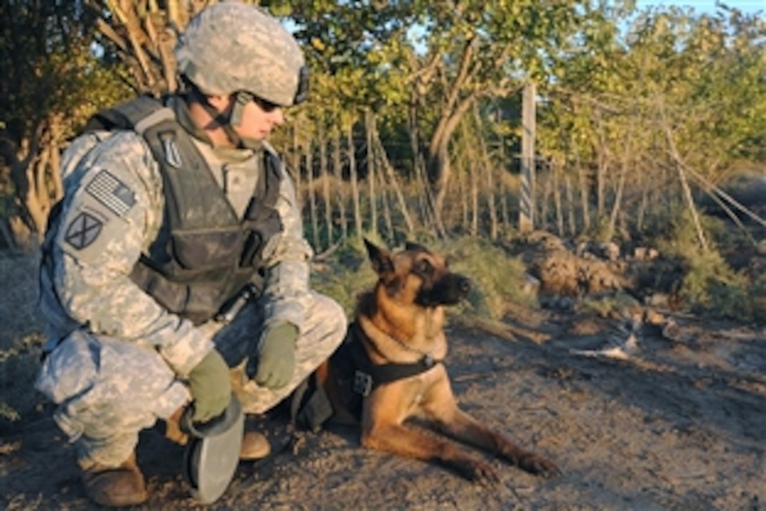 U.S. Army Sgt. Mike Heinzig and Brandon, his military working dog, take a break during an early morning cache search near Tarmiyah, Iraq, Nov. 18, 2008. Heinzig and Brandon are assigned to the 25th Infantry Division's 2nd Stryker Brigade Combat Team. 