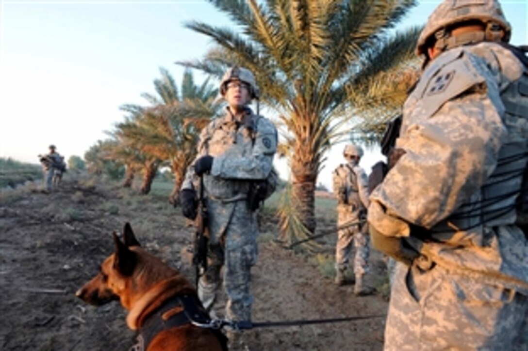 U.S. Army Sgt. Mike Heinzig, right, his Military working dog Brandon, and other soldiers walk through a palm grove during an early morning search for weapons caches near Tarmiyah, Iraq, Nov. 18 , 2008. The soldiers are assigned to the 25th Infantry Division's 1st Battalion, 14th Infantry, 2nd Stryker Brigade Combat Team.