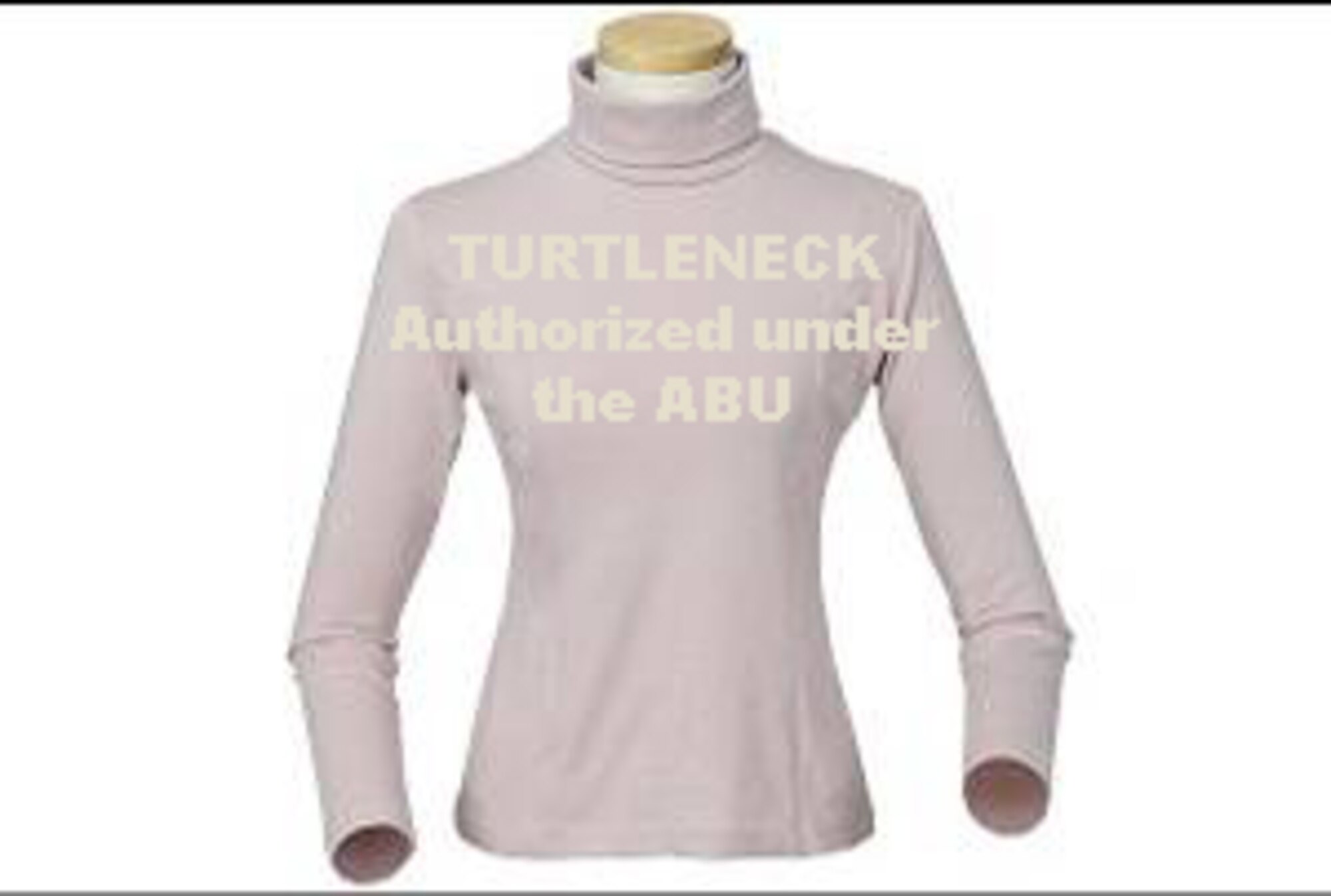 Turtleneck, authorized under the ABU.