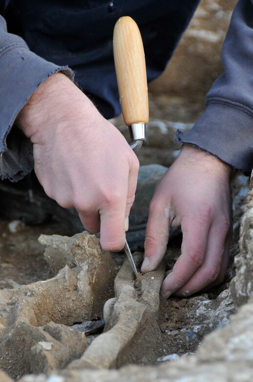 John Sims, an archaeologist with the Suffolk County Council Archaeological Service, removes one of the arm bones from a skeleton to be placed in a bag Nov 24 at RAF Lakenheath, England. Out of the five bodies found two have so far been removed to be further studied. (U.S. Air Force photo by Airman 1st Class Perry Aston)