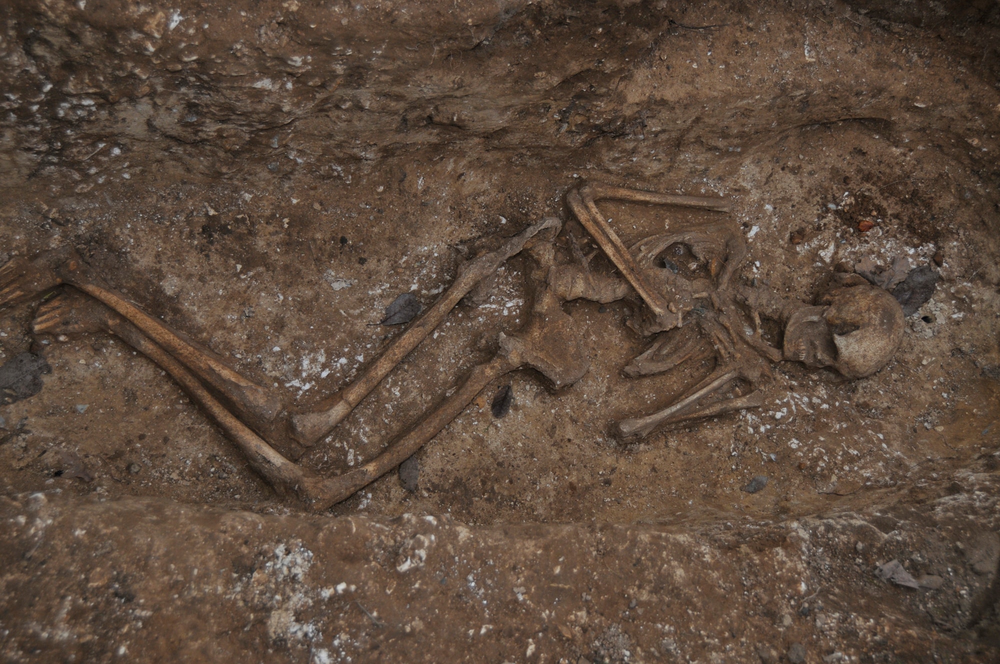 Archaeologist at RAF Lakenheath, England, discovered human remains within what used to be large mounds of dirt Nov. 20. Later on during Roman, Ancient British and Saxon times, people were buried around the perimeter of these mounds, which is where these skeletal remains were found. Over the thousands of years the mounds were eroded away or plowed over for agriculture. The above skeletal remains are from a man, the Archaeological Service found an iron knife and a pendent buried with the man. (U.S. Air Force photo by Airman 1st Class Perry Aston)