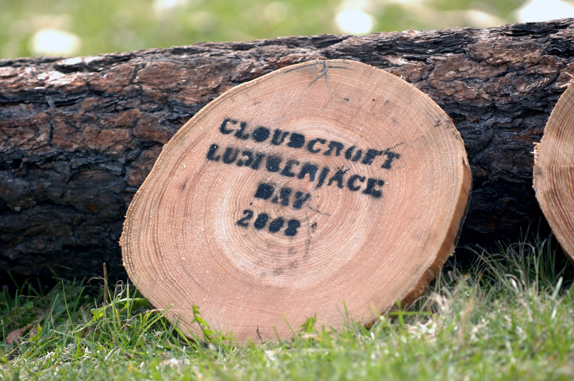 Circles of Pomerosa pine wood were chopped by competitors of Lumberjack Day held in Cloudcroft, N.M., September 20. After stamping black ink into the freshly cut wood, vistors were able to pick from a variety of different shapes and sizes to buy as a souvenir. (U.S. Air Force photo/Airman 1st. Class/Veronica Salgado)
