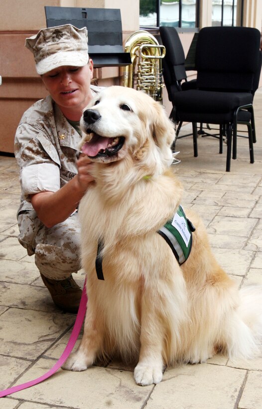 Maj. Sarah Lukes, logistics planner for Headquarters and Service Battalion, U.S. Marine Corps Forces, Pacific, pets Carly during the Hawaii - Pacific Area Combined Federal Campaign kickoff in front of the U.S. Pacific Command Building Oct. 3. Carly is an eight-year-old service dog with Canine Assistants, an organization for people who have disabilities.