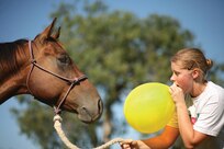 9/24/2008 - 2nd Lt. Roberta Krause, 59th Medical Operations Group, plays games with her horse Haddie at Lackland's Saddle Club before saddling up for a trail ride. Playing games with horses helps to desensitize them from scary situations out on the trail. The Saddle Club is a family friendly, self-care boarding facility offering accommodations and amenities for members horses. The Saddle Club also features an exercise ring, dirt arena and trails located behind the stables. (USAF photo by Robbin Cresswell)