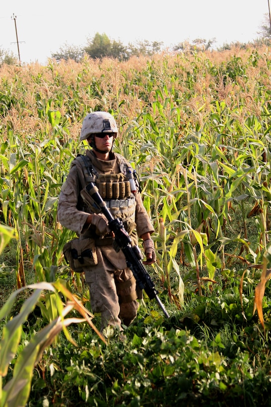 Lance Cpl. Charles M. Franklin, a fire team leader assigned to Company E, TF 2/7 and Tulsa, Okla., native, patrols through a cornfield near the Sangin district, Oct. 8.